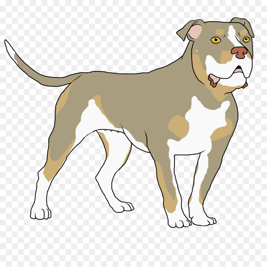 Chien，Animal De Compagnie PNG