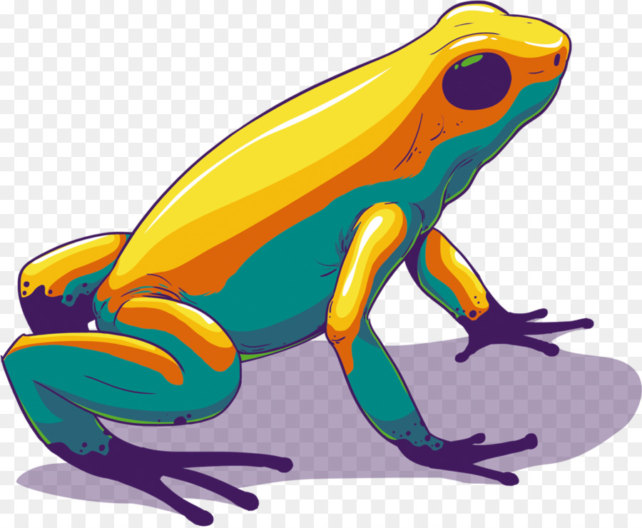 Grenouille Verte De Dessin Animé，Animal PNG