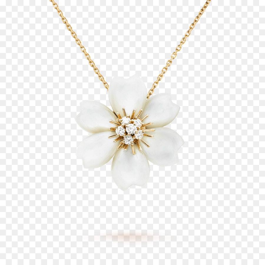 Perle，Collier PNG