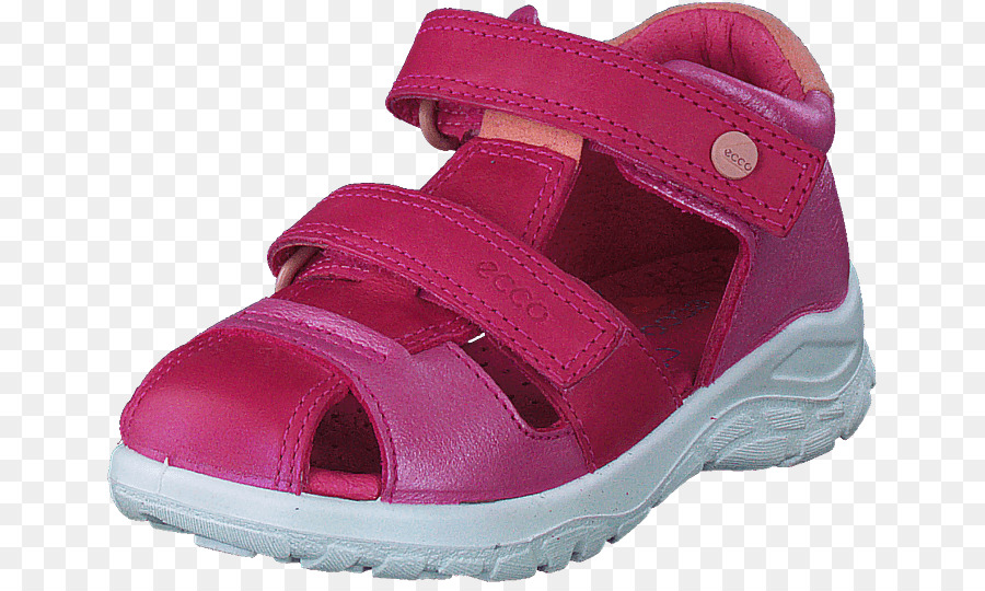 Sandale，Chaussure PNG