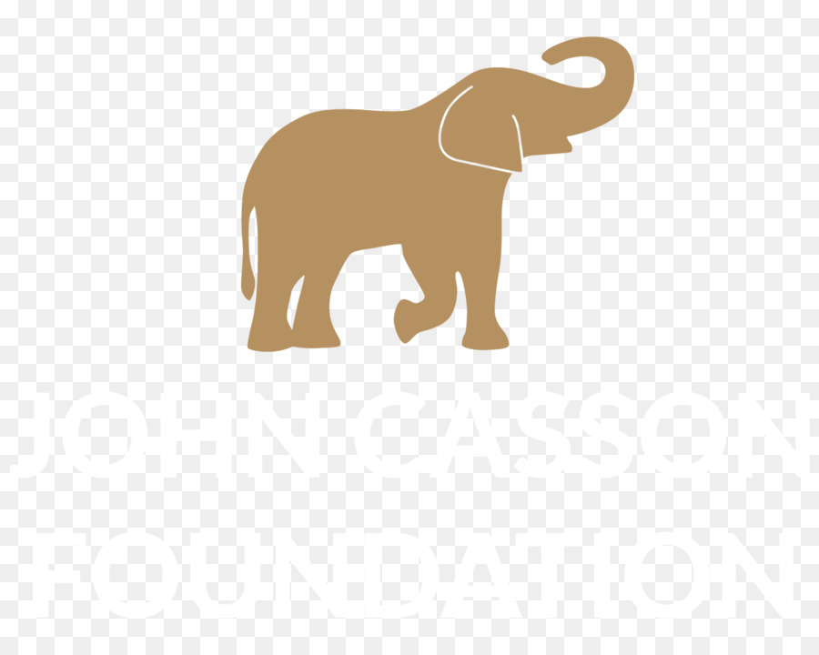 éléphant Indien，L éléphant D Afrique PNG