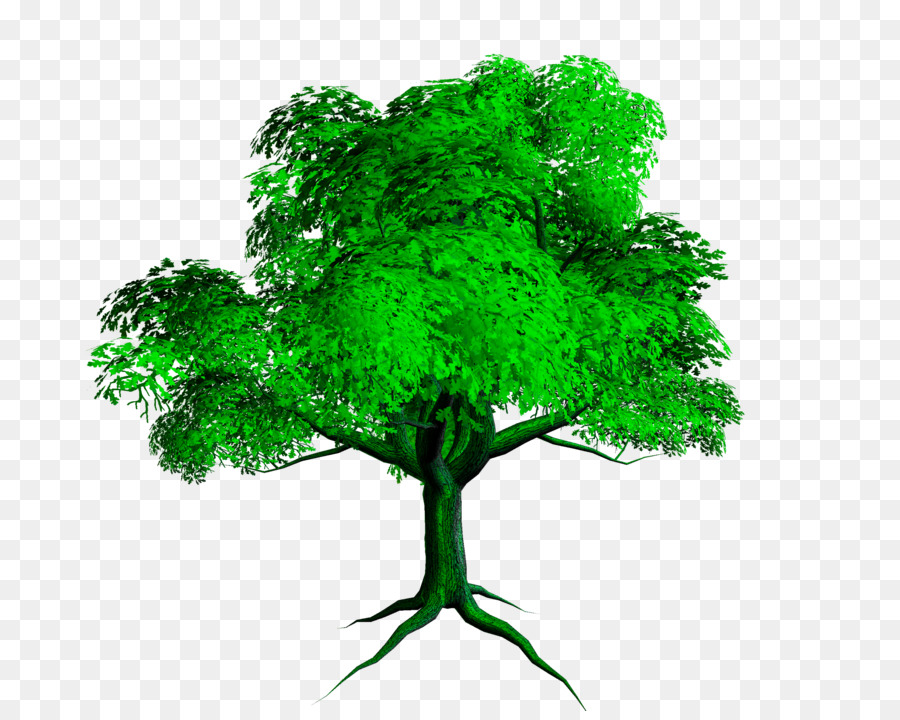 Arbre Vert，Nature PNG