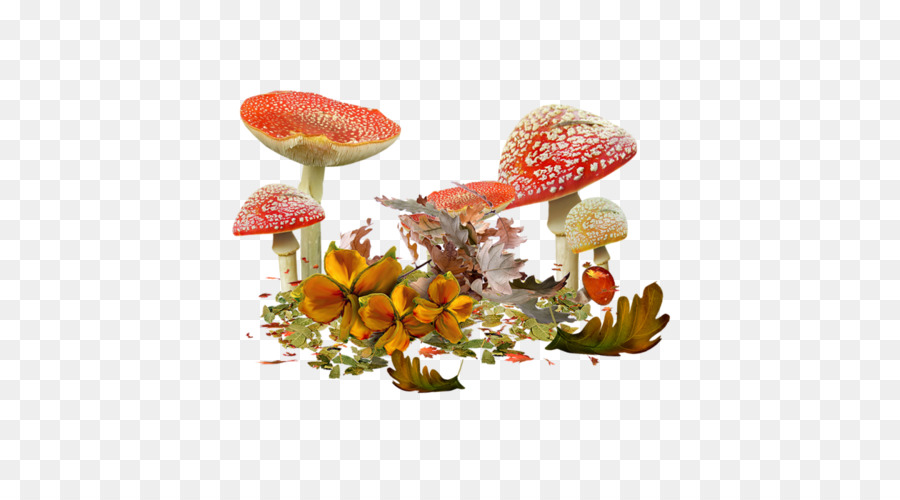 Champignons Rouges，Champignons PNG