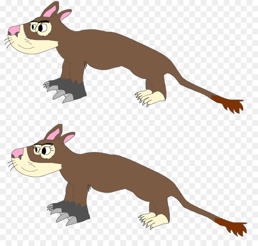 Chat，Animal PNG