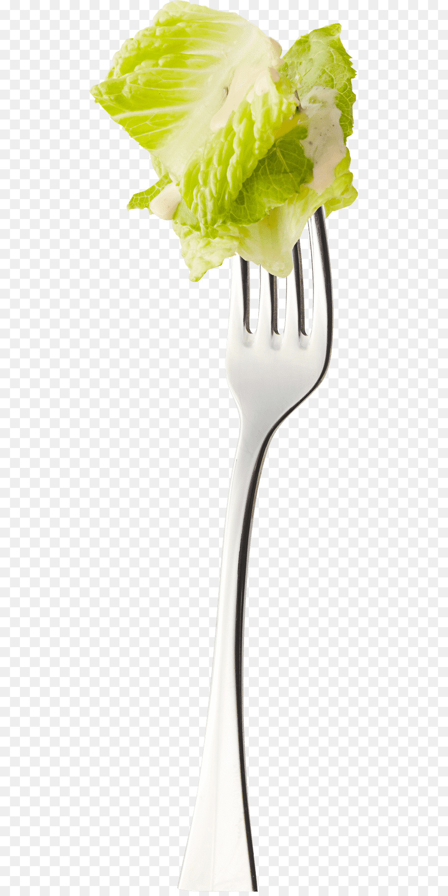Salade César，Jus PNG
