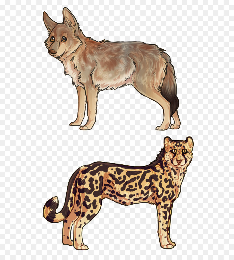 Chat，Race De Chien PNG