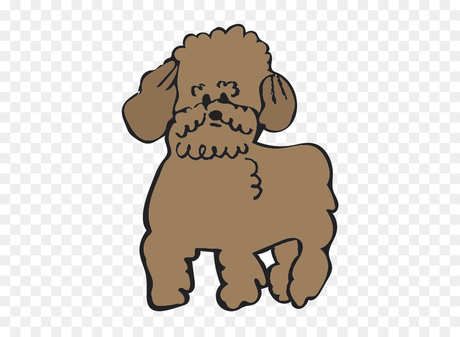 Chiot，Caniche PNG