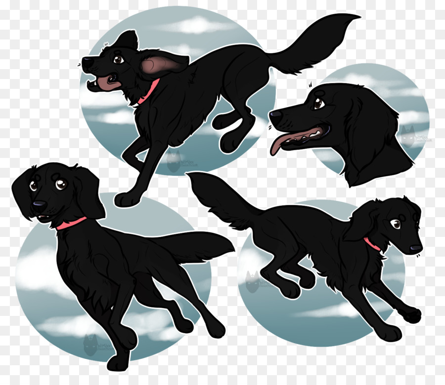 Le Labrador Retriever，Race De Chien PNG