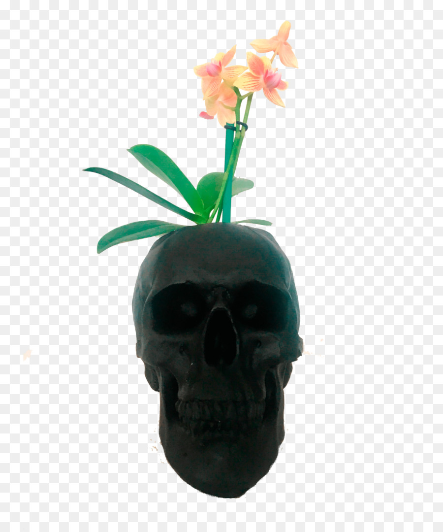 Crâne，Flowerpot PNG