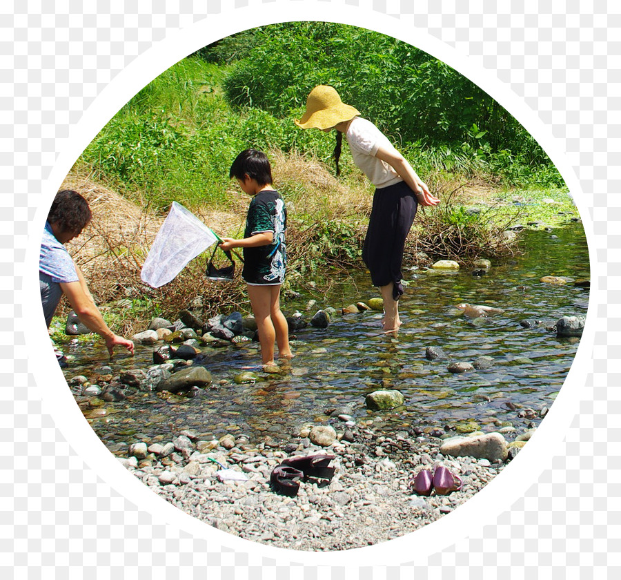 Les Ressources En Eau，Mer PNG