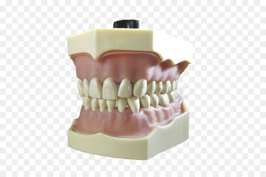 Dent，La Dentisterie PNG