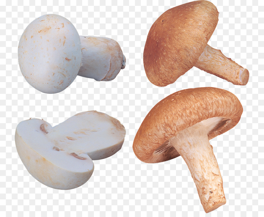 Champignons，Comestible PNG