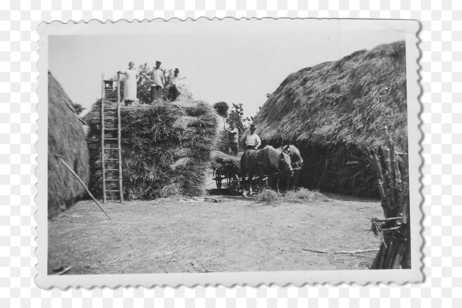 Cadres Photo，La Photographie PNG