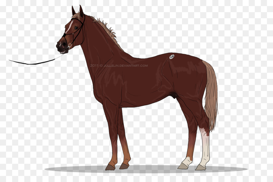 Cheval Gitan，Cheval Clydesdale PNG