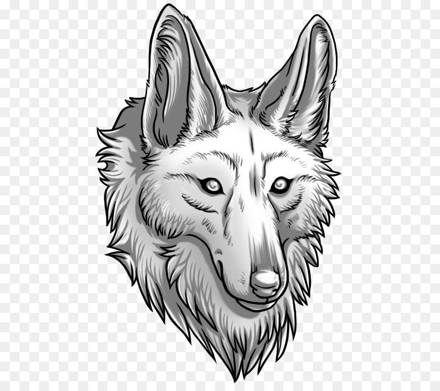 Coyote，Chien PNG