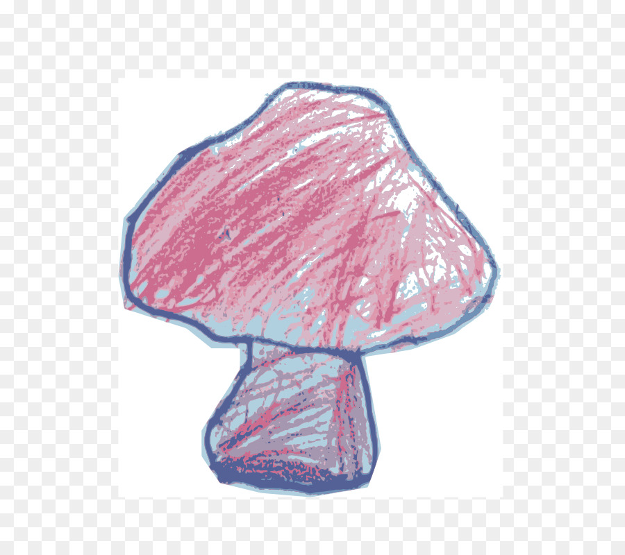 Champignon， PNG