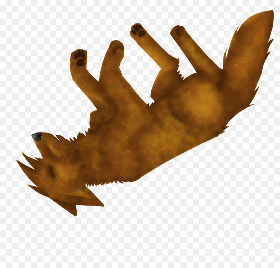 Doigt，Feuille PNG