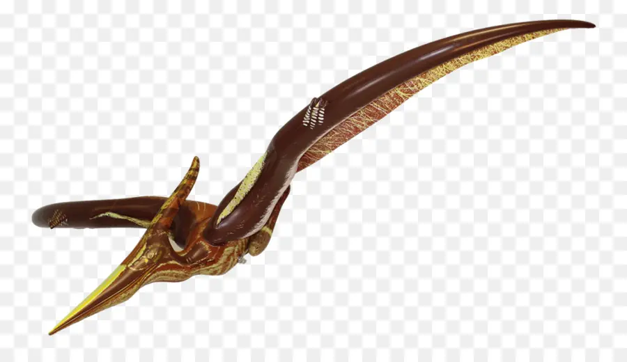 Ptéranodon，Ptérodactyle PNG