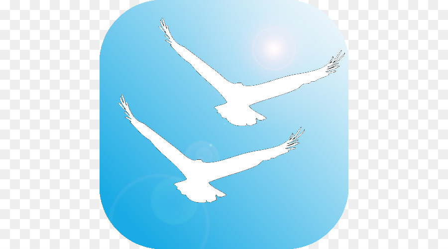 Oiseau，De La Paix Symboles PNG
