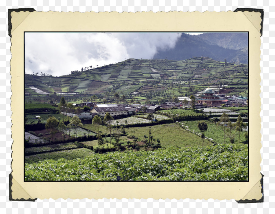 Dieng，Plateau PNG