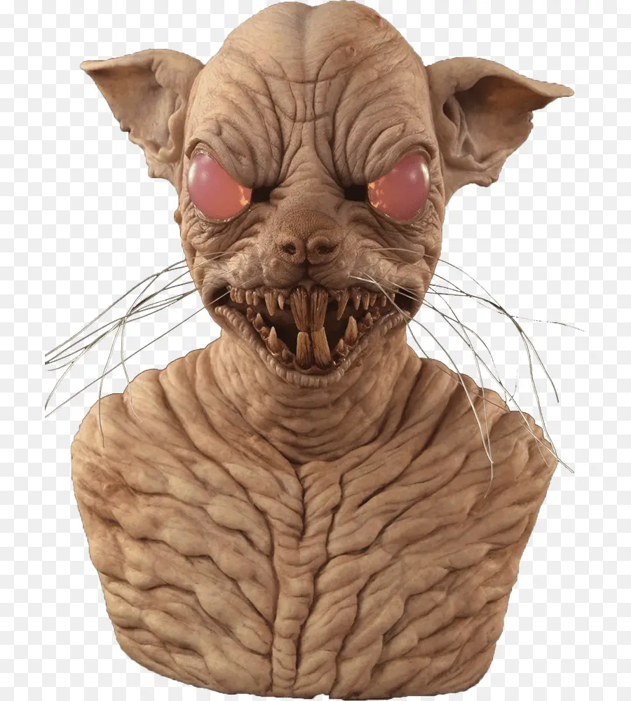 Chat Sphynx，Rat PNG