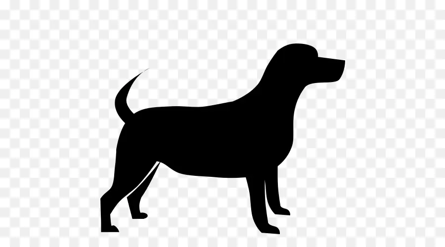 Chien，Animal De Compagnie PNG