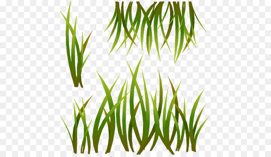 Herbes，Polycount PNG