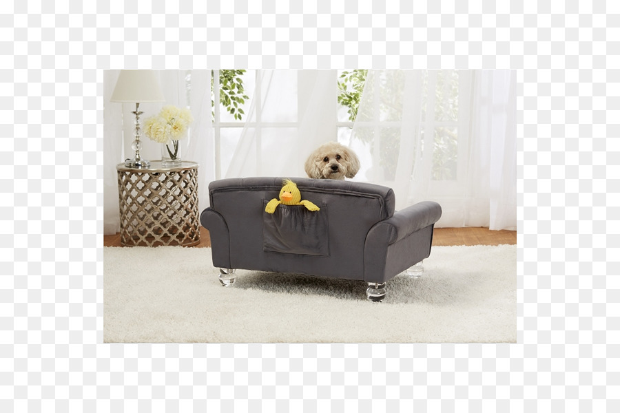 Banquette Lit，Chien PNG