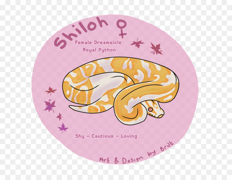 Python Royal，Serpent PNG