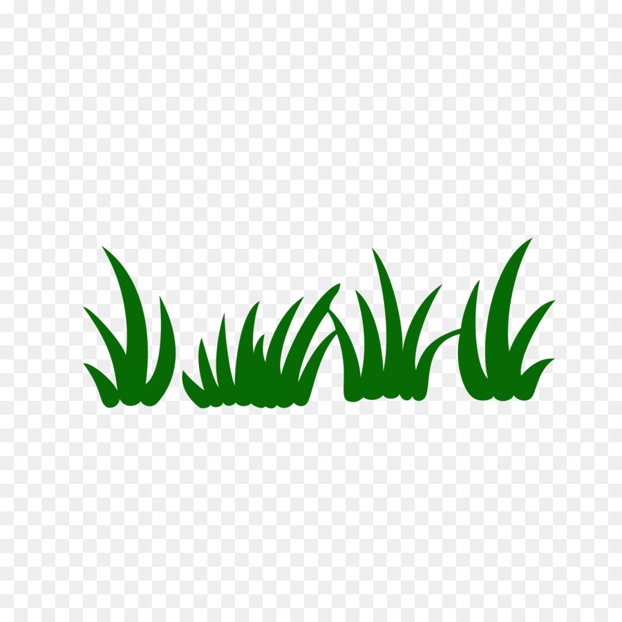 Herbe，Plantes PNG