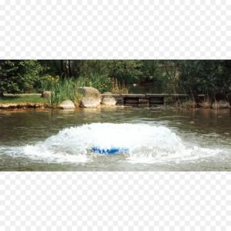 Fontaine à Eau，Étang PNG