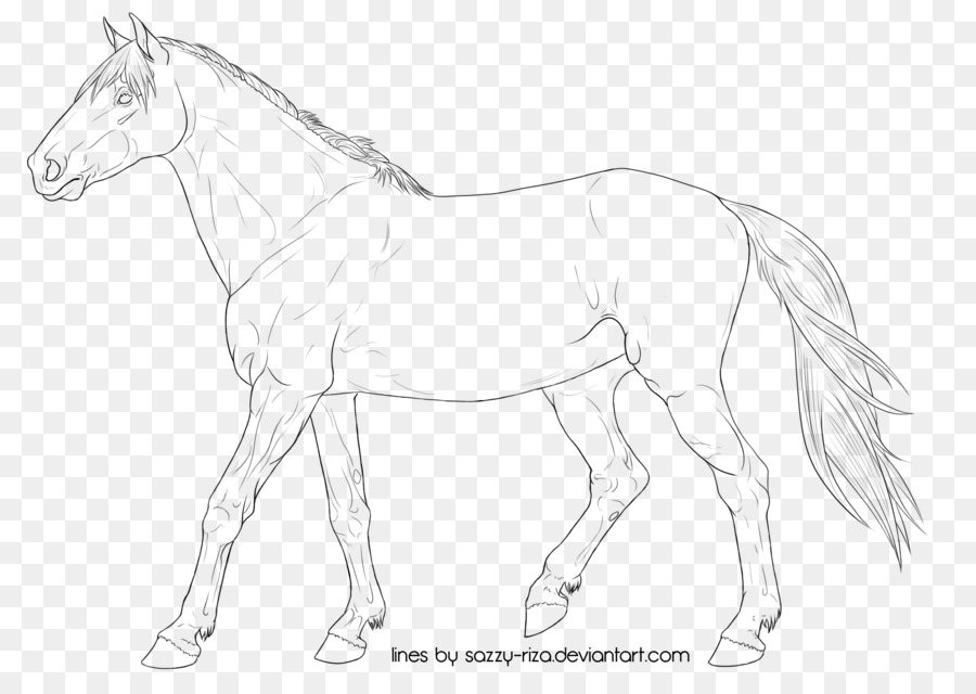 Cheval，Dessin Au Trait PNG