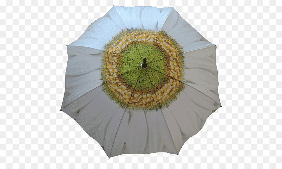 Parapluie，Blanc PNG