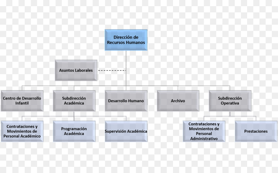 Organigramme，Organisation PNG