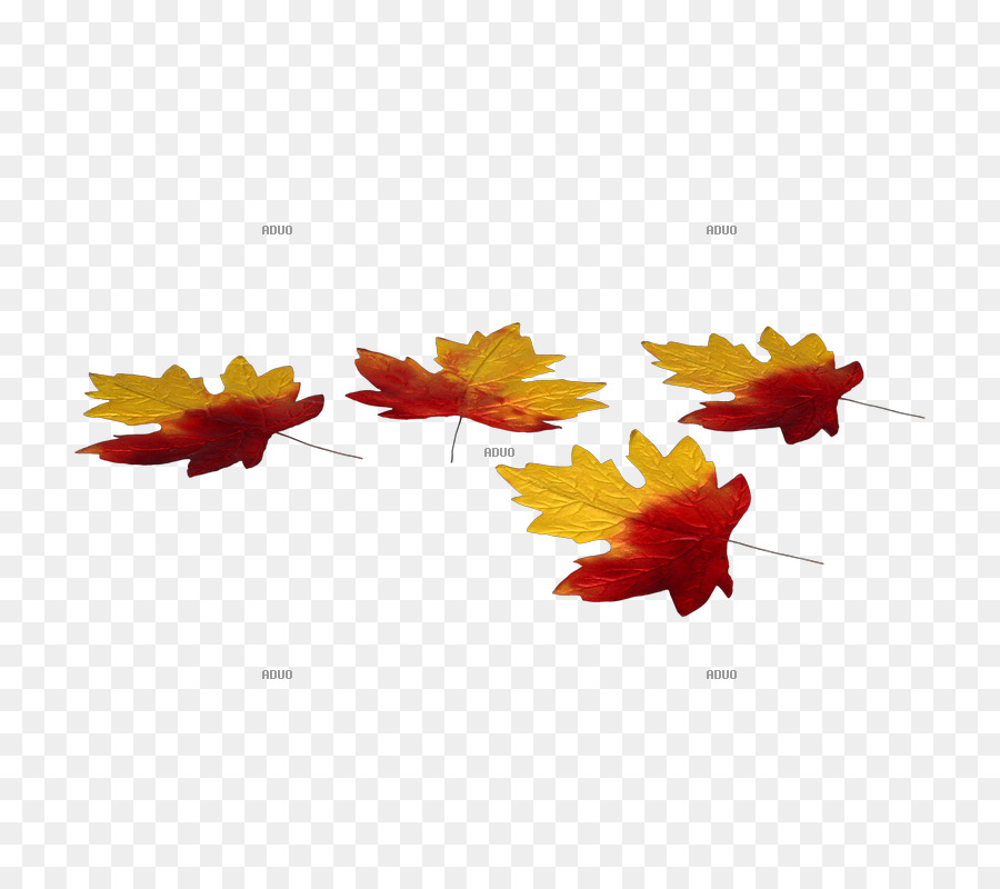 Feuilles D'automne，Automne PNG