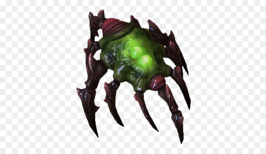 Araignée，Insecte PNG