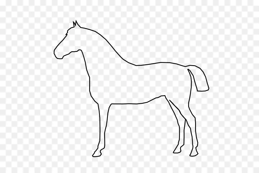 Cheval，Poulain PNG