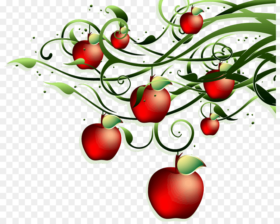 Pomme，Tomate PNG