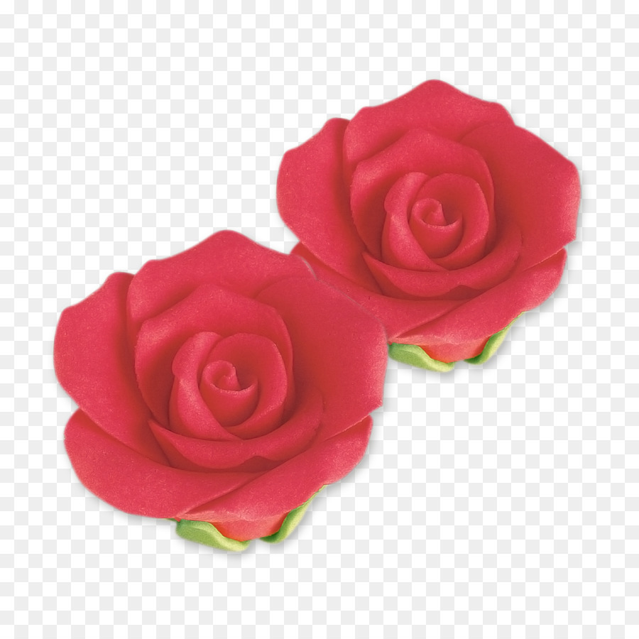 Les Roses De Jardin，Chou Rose PNG