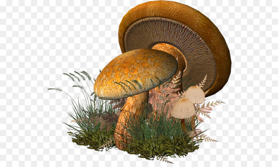 Champignon，Smiley PNG