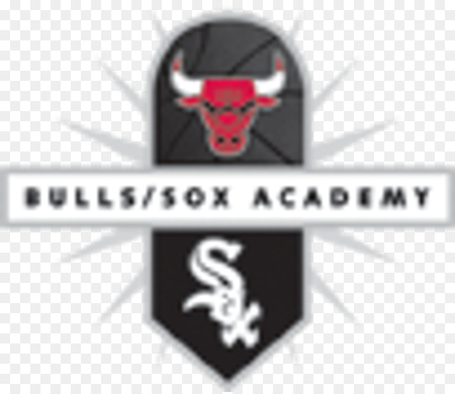 Chicago Bulls，Académie Pour Jeunes De Bullssox PNG