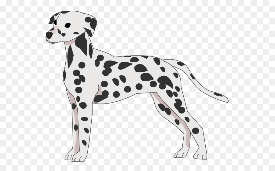 Dalmatien，Chien PNG