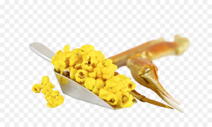 Popcorn，Scoop PNG