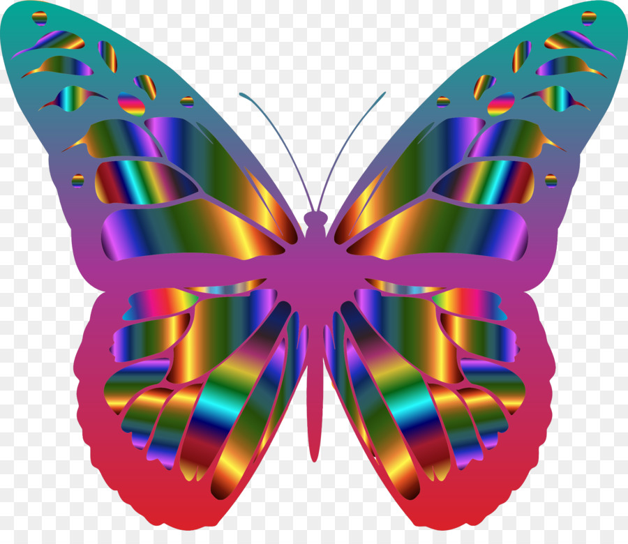 Papillon，Les Insectes PNG