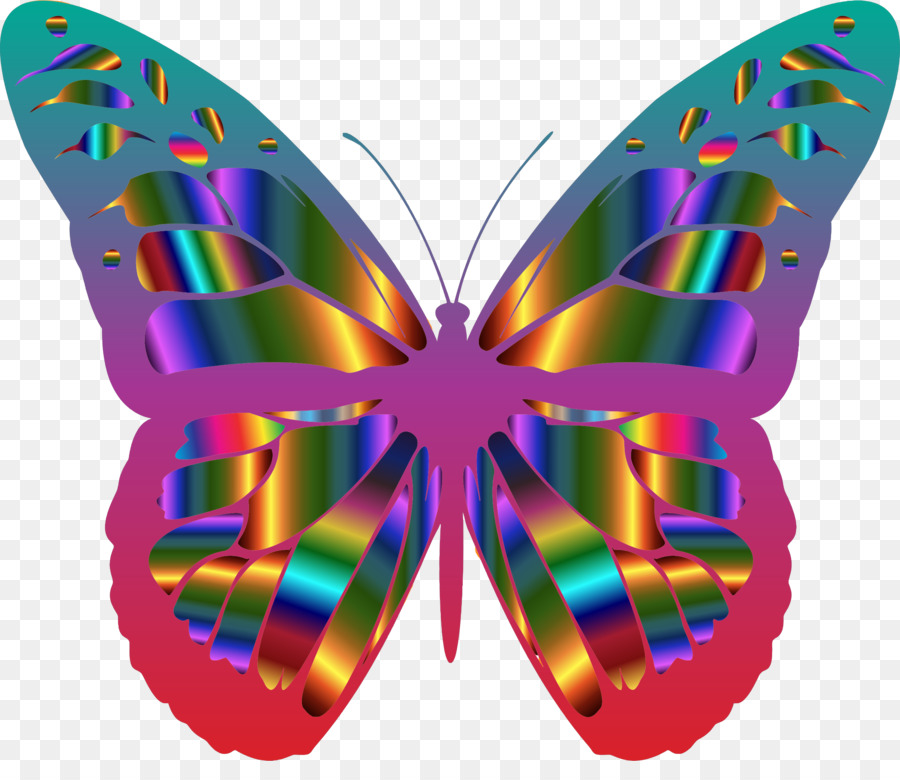 Papillon Coloré，Ailes PNG