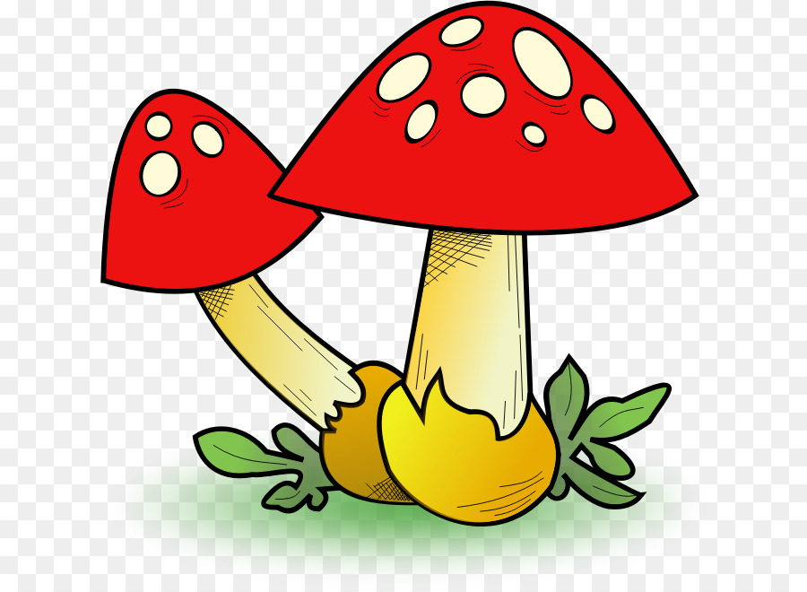 Champignon，Champignons PNG