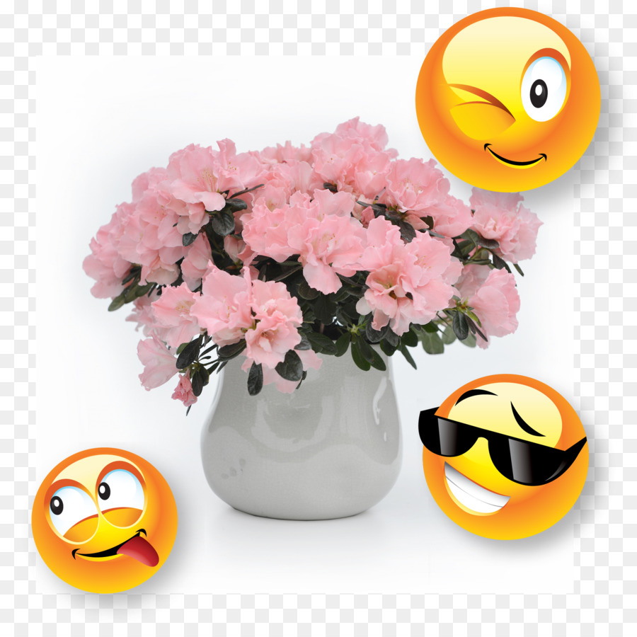 Les Fleurs Coupées，Smiley PNG