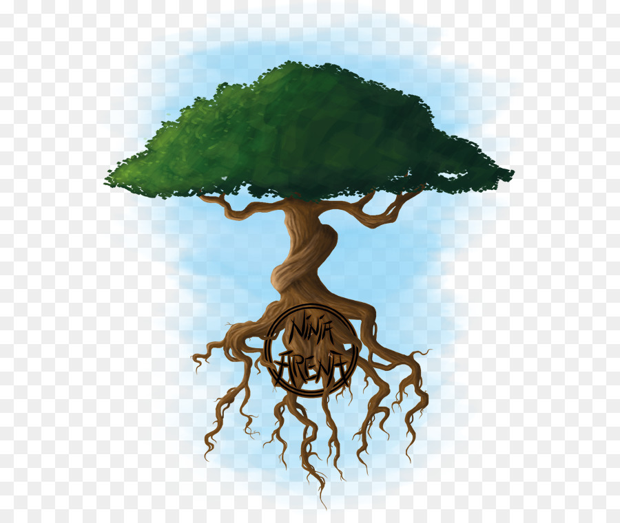 Arbre Flottant，Racines PNG