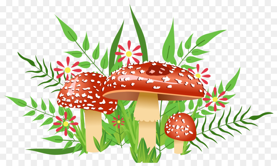 Champignons，Feuilles PNG