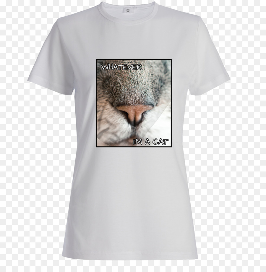 Tshirt，Chemise PNG